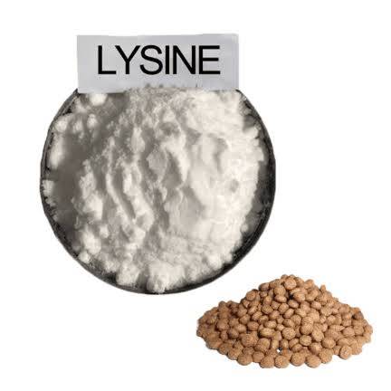 L-Lysine HCL